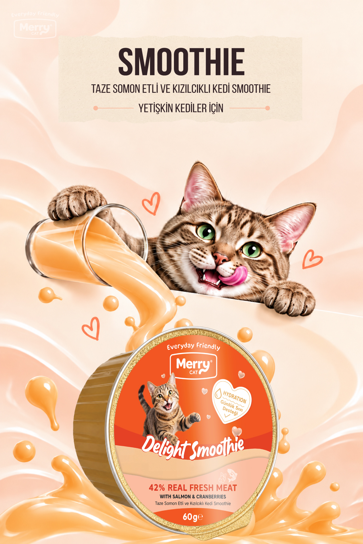 Merry Yetişkin Kediler İçin Somon ve Kızılcık Lezzetli Kedi Smoothiesi 60g ambalajı