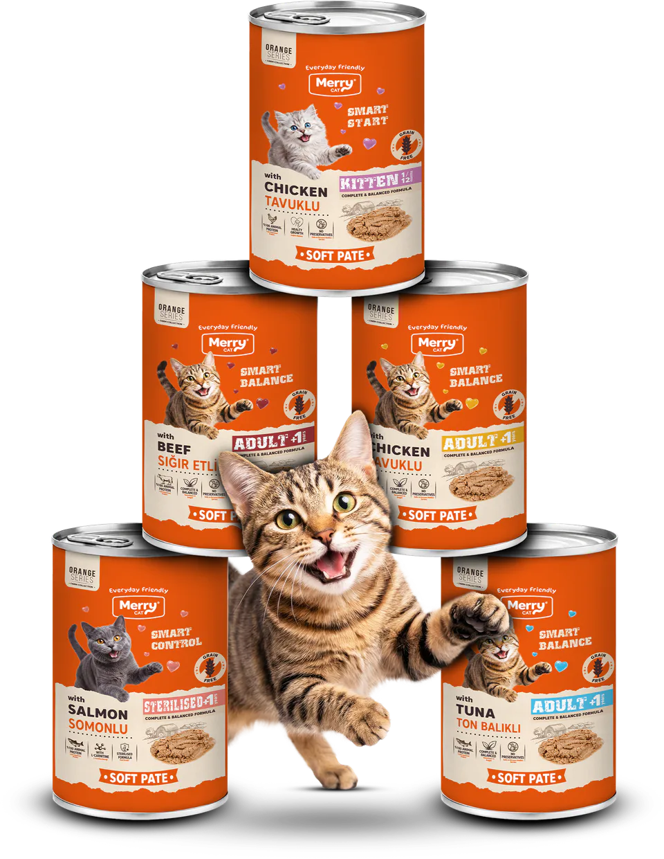 Soft Pate Kısırlaştırılmış Somonlu ambalajı