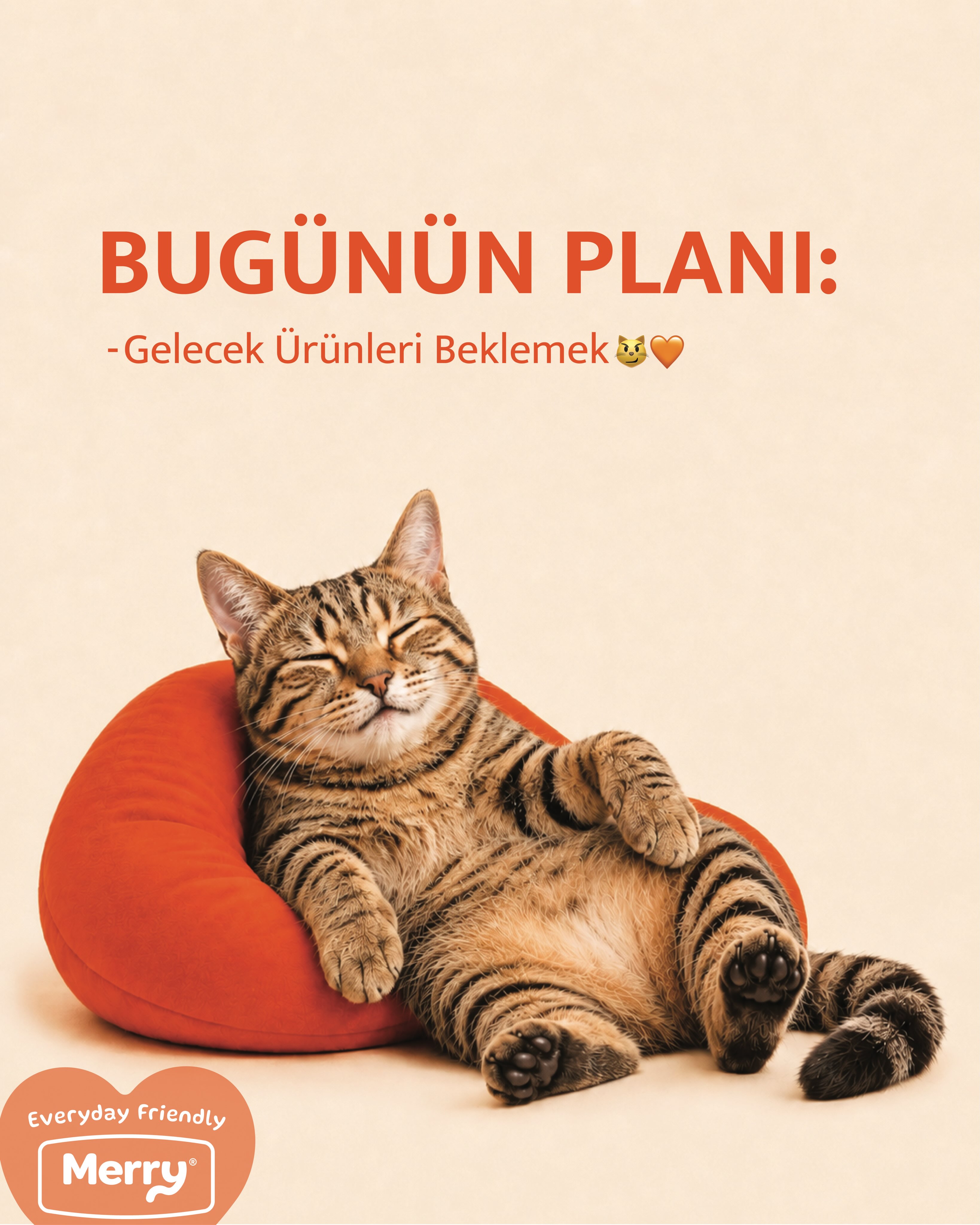 Merry Instagram gönderisi