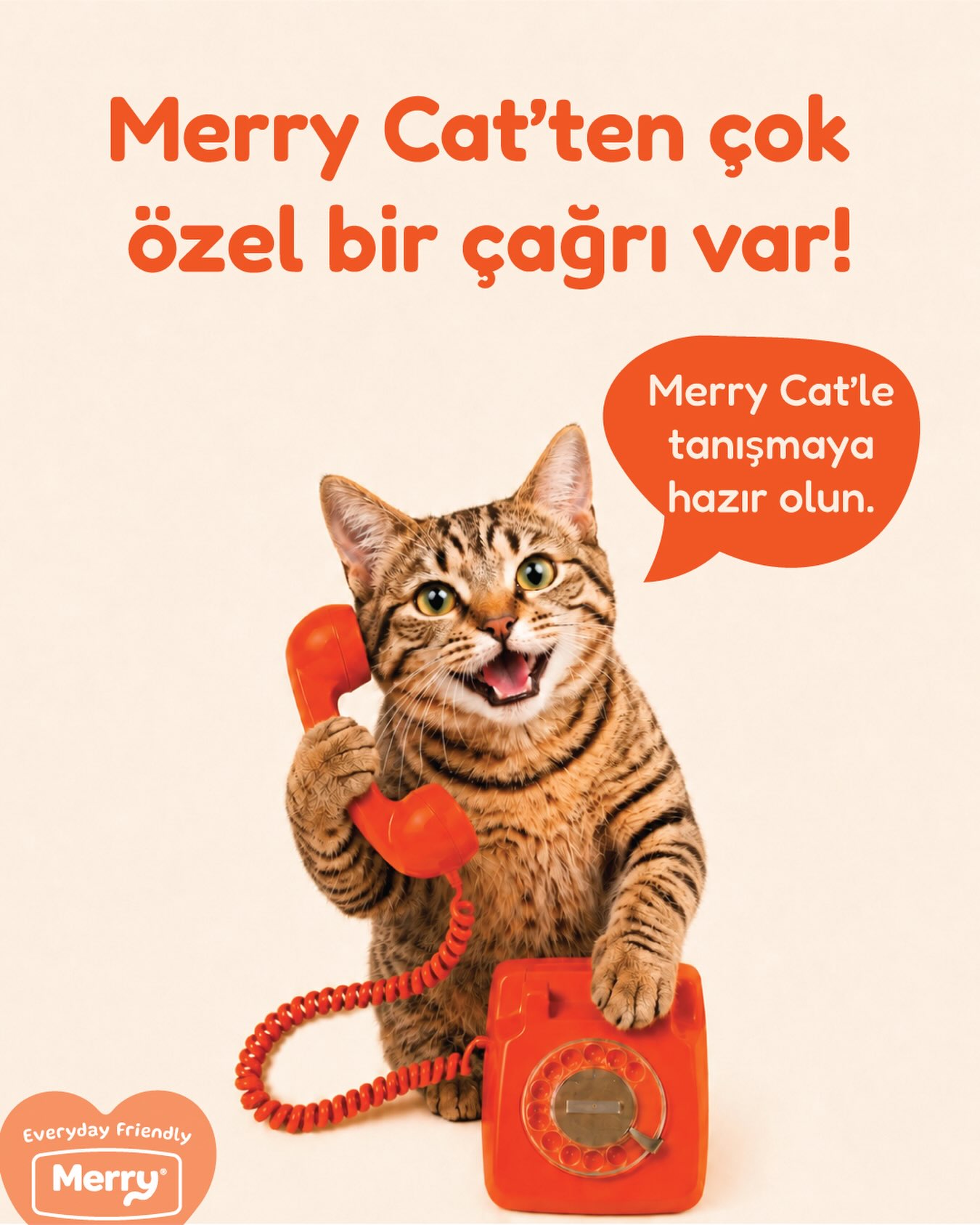 Merry Instagram gönderisi